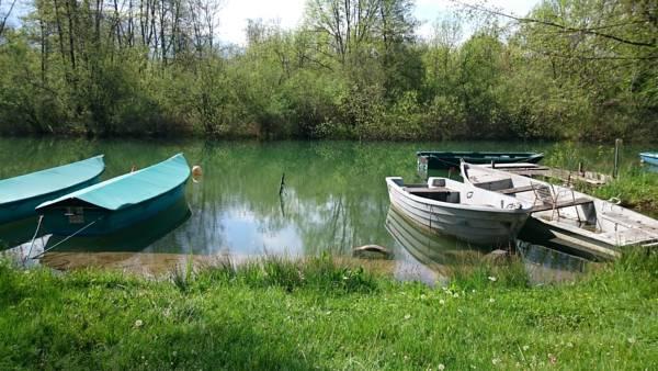 Cabanes D'Aiguebelette Saint-Alban-de-Montbel Экстерьер фото